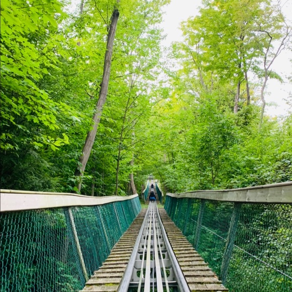 Meet your Posher, Disha - Picture 1 of 1